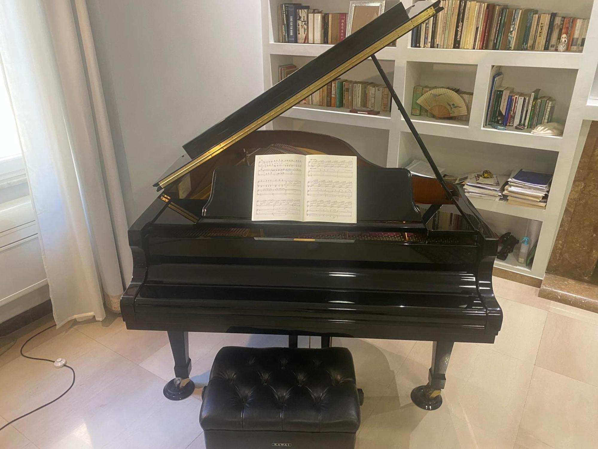 La Pianista Sull'oceano Appartement